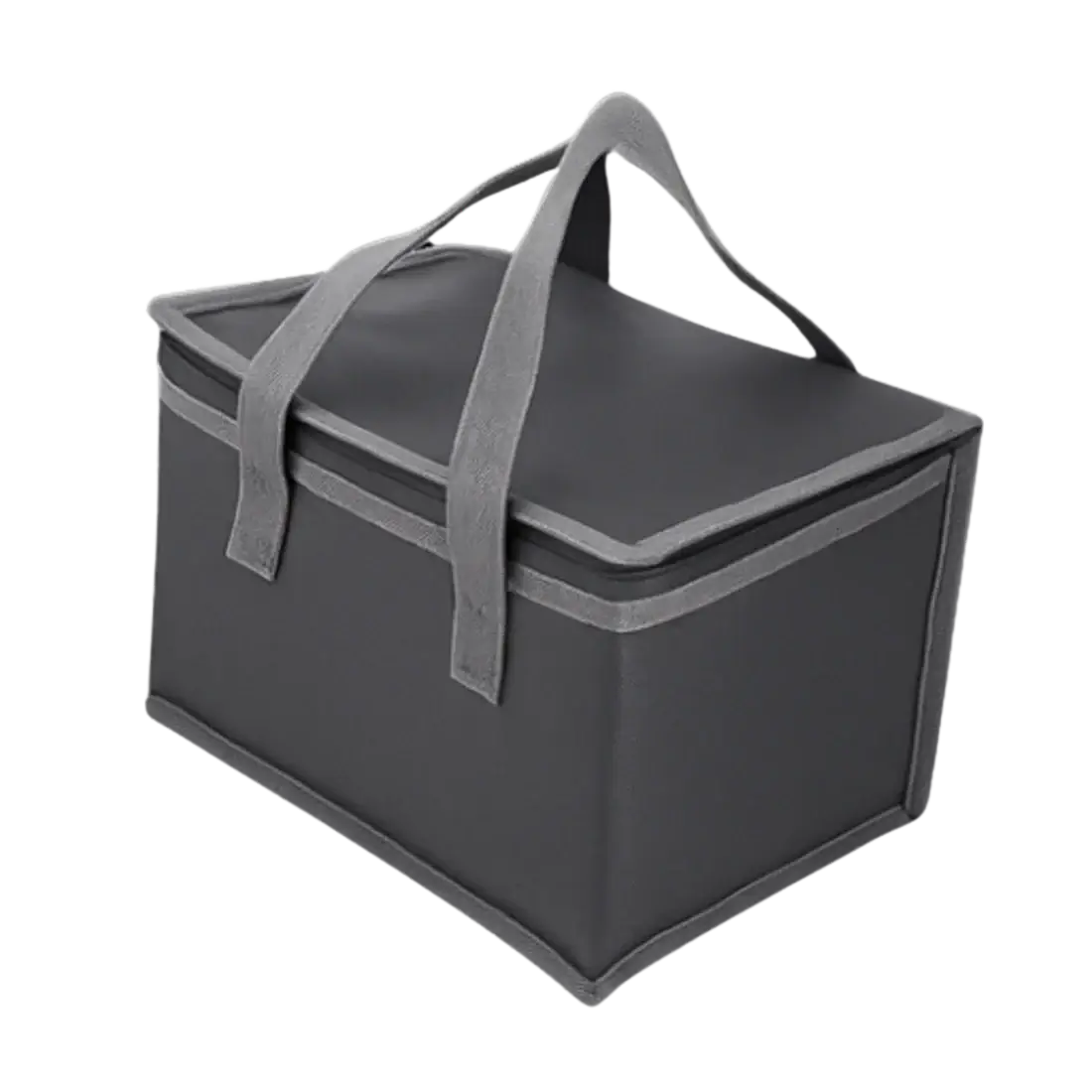 FREE Insulated Carrying Bag